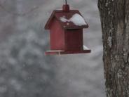 bird house in snow