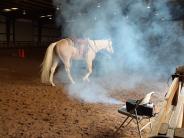 horse in smoke