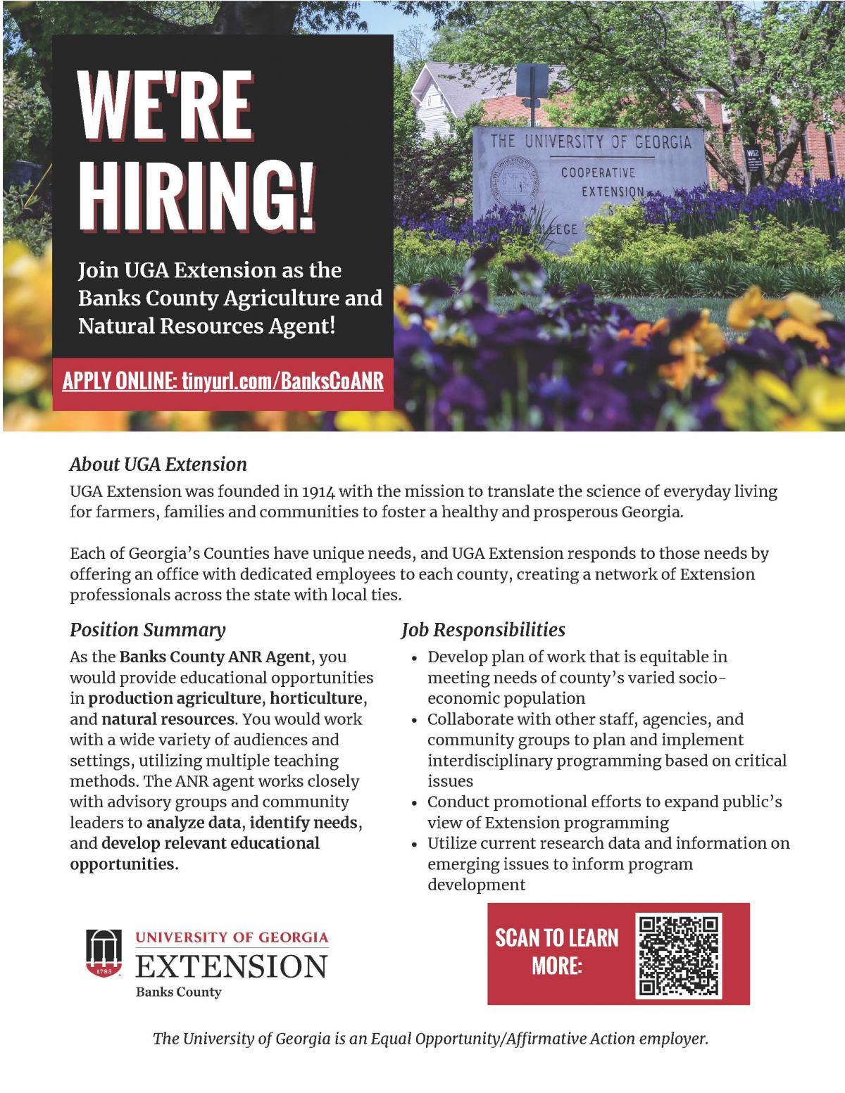 Extension Service Available Position Flyer