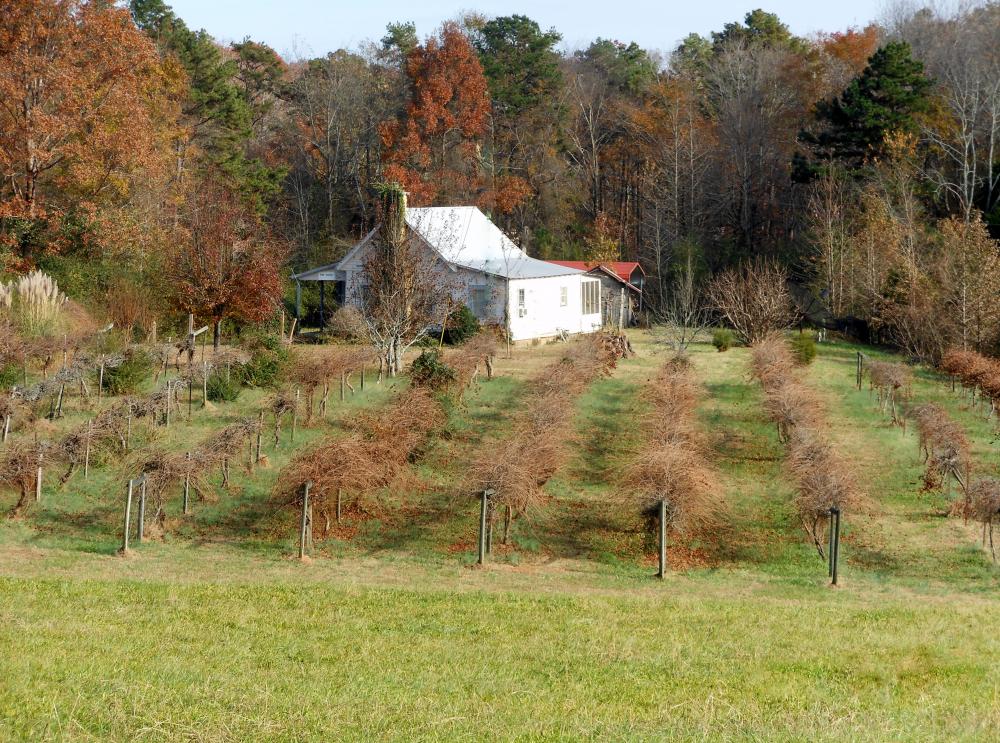 Community Banks County