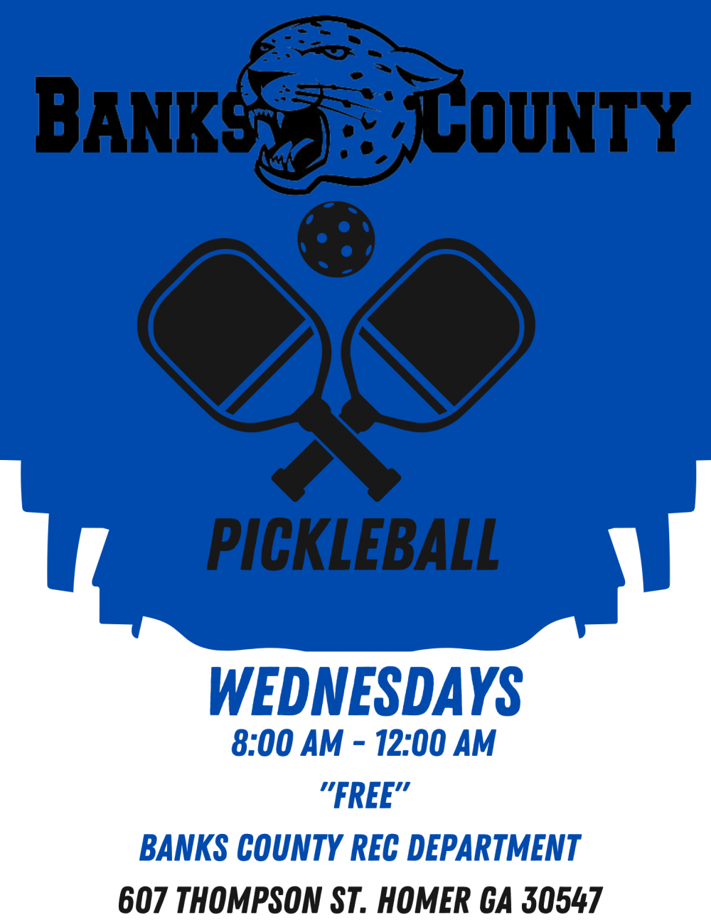 Pickleball Banks County